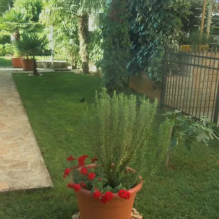 Skalin * Novigrad Istria