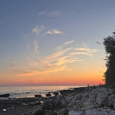 Skalin Novigrad Istria
