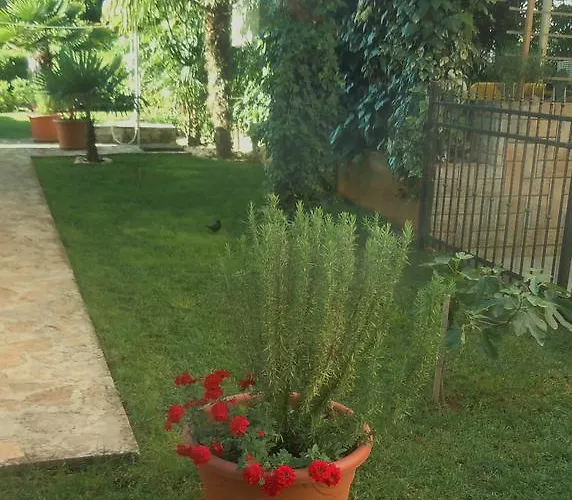 Skalin * Novigrad Istria