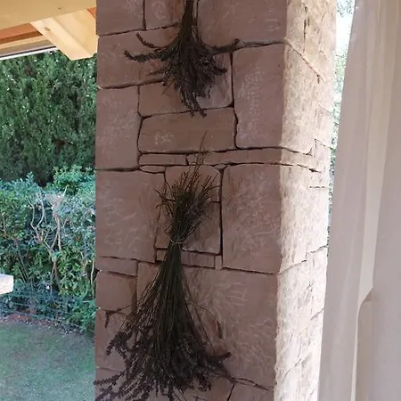 Skalin דירה Novigrad Istria